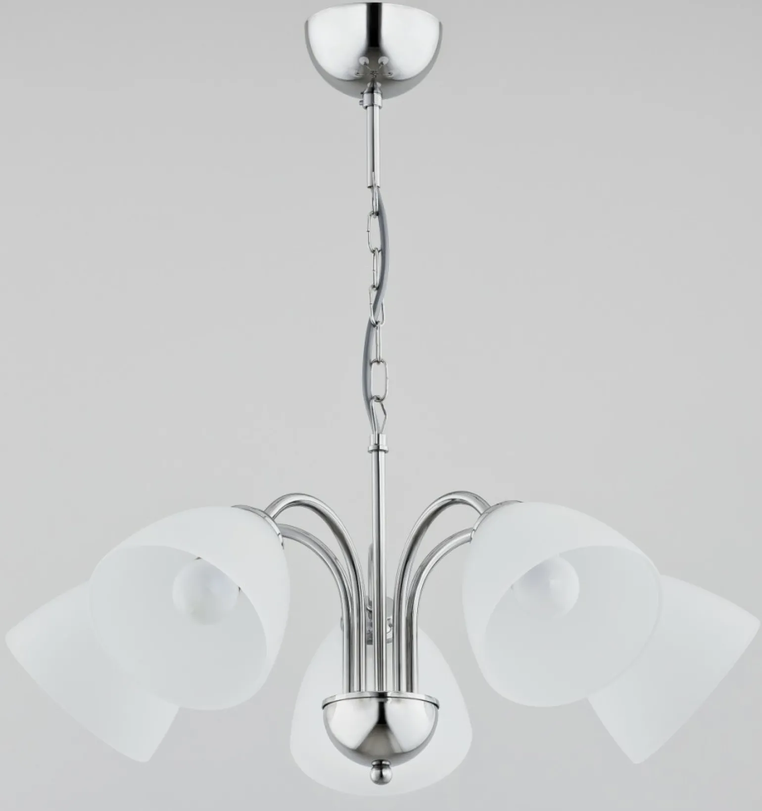 Shop Chromowana lampa wisząca z 5 mlecznymi kloszami AL 21255 | Kaja Żyrandole Nowoczesne