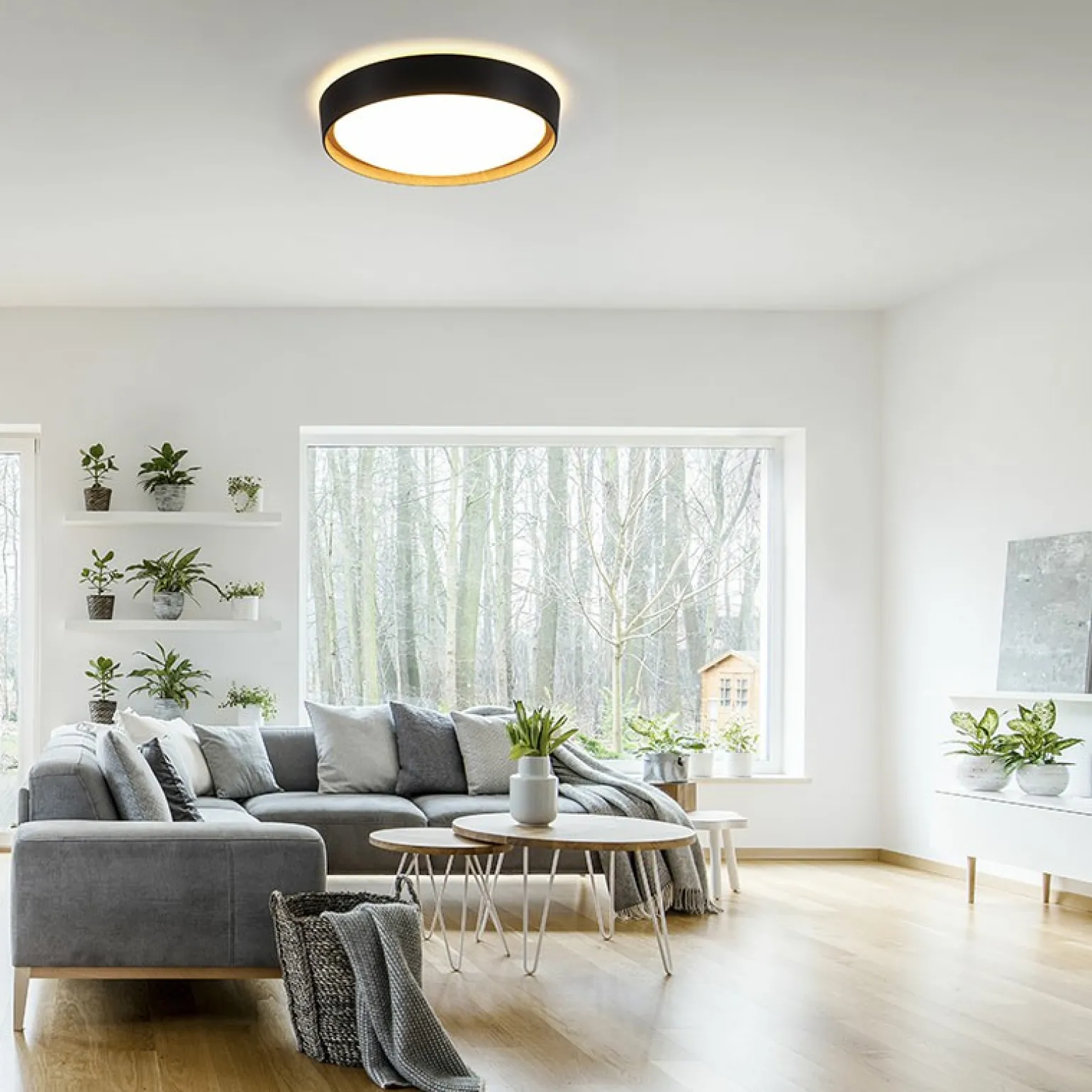Best Sale plafon z 3-stopniowym ściemniaczem 14347-18 z serii EMILIA Żyrandole Nowoczesne