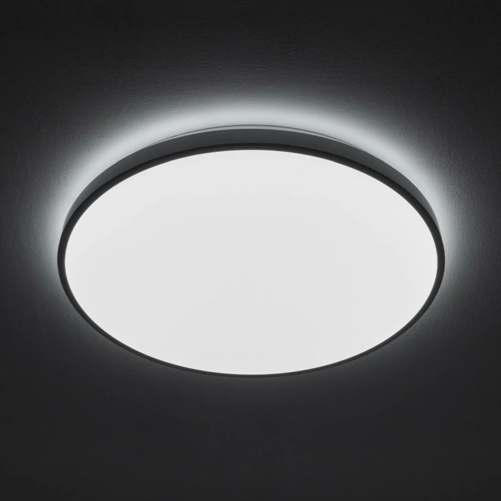 Sklep Kaja Lampa LED do łazienki IP44 ⌀49cm 4000K 10980 AGNES LED | Kaja* Lampy Do Łazienki | Plafony Nowoczesne