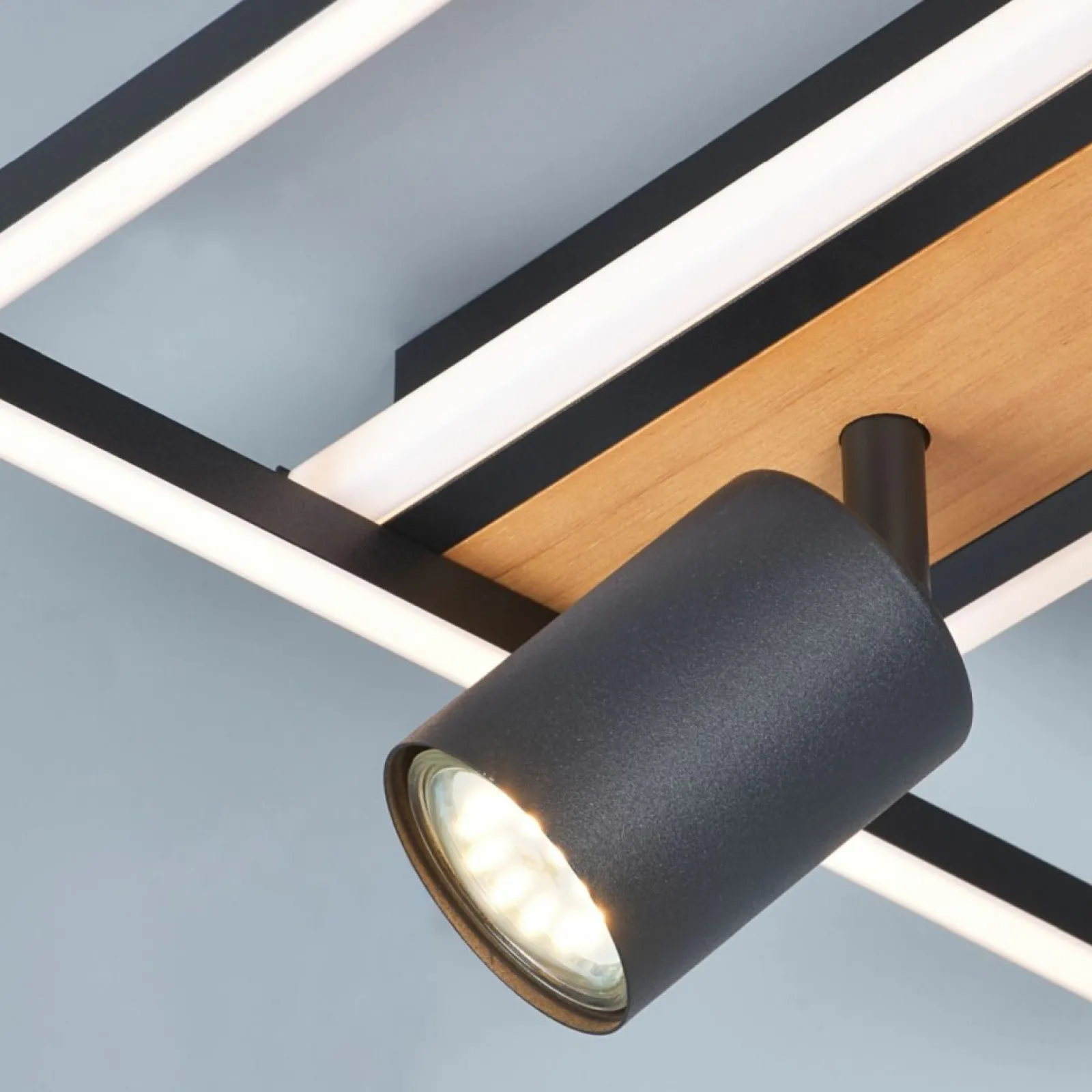 Sklep Kaja Ledowy plafon z ruchomymi reflektorami C230857703 KORDA | Kaja* Lampy Led | Plafony Nowoczesne