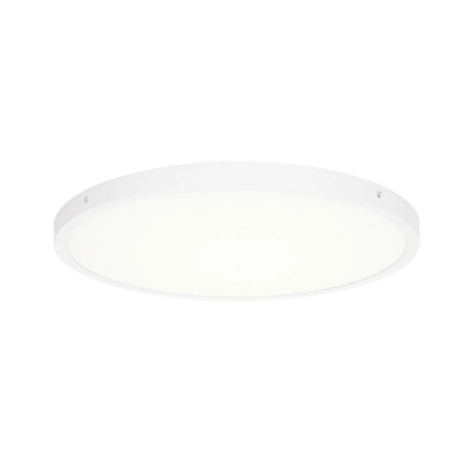Sklep Kaja Minimalistyczny plafon ⌀50cm 3000K PLF-7001-500R-WH-3K z serii PELARO* Lampy Led | Plafony Nowoczesne