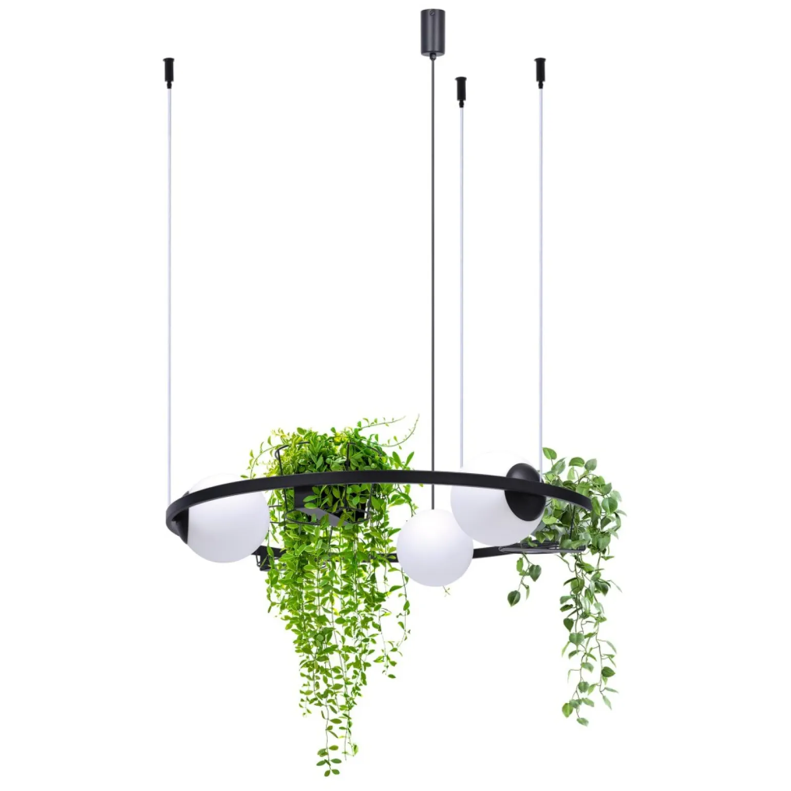 Best Sale Niezwykle dekoracyjna lampa wisząca, kwietnik 5005 z serii PLANT Żyrandole Nowoczesne