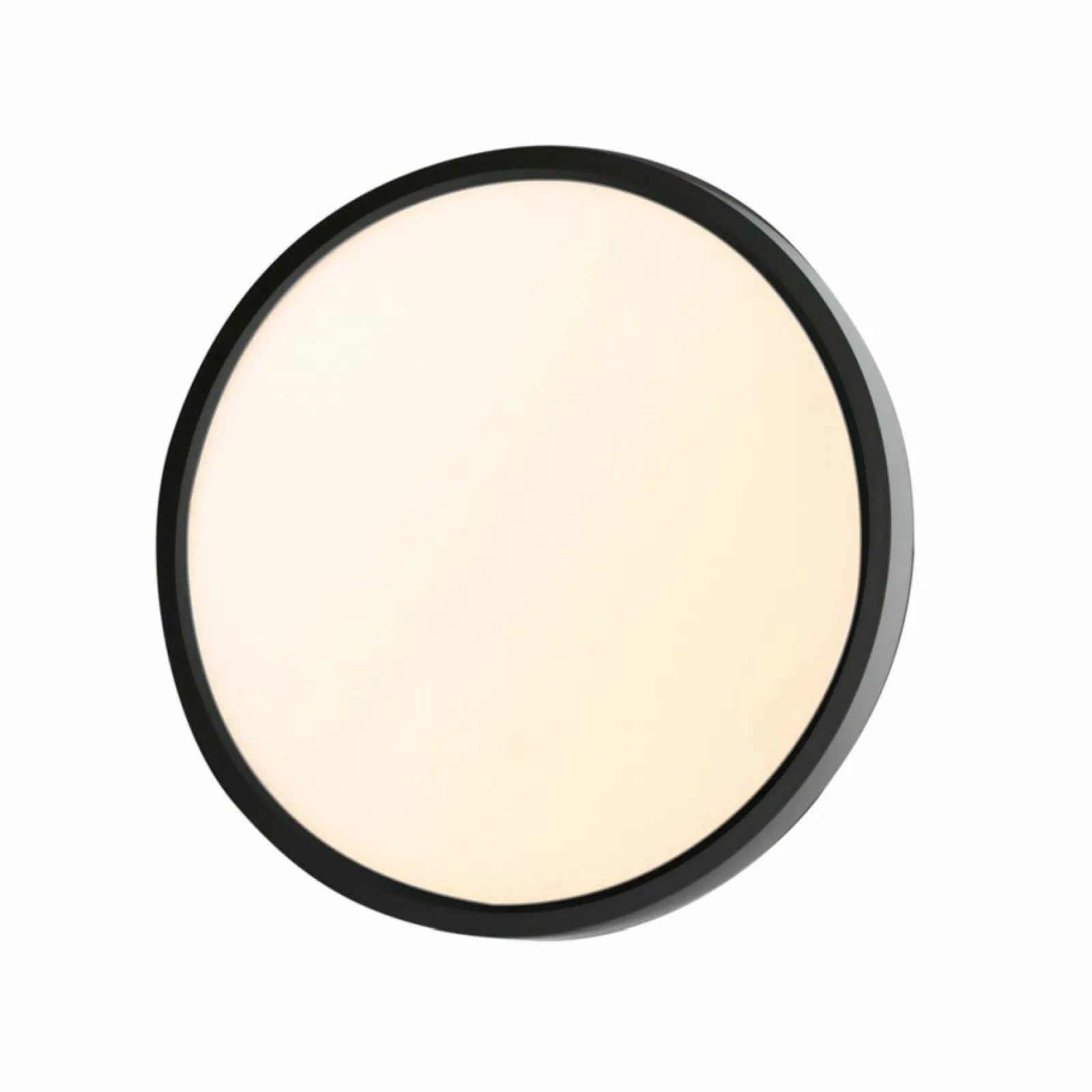 Sklep Kaja Plafon LED na bazie okręgu ⌀48cm PLF-35263-480R-36W-BL CALVI | Kaja* Plafony Nowoczesne | Lampy Led