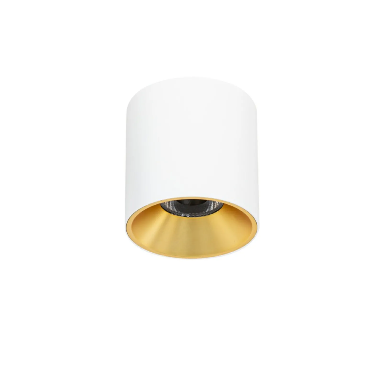 Sklep Kaja Stylowa tuba do kuchni ⌀9,5cm 3000K CLN-6677-95-WH-GD-3K ALTISMA* Lampy Led
